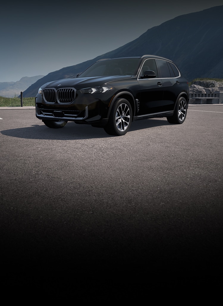 The 2025 BMW X5 sDrive40i in a scenic parking lot in front of a mountain landscape. 