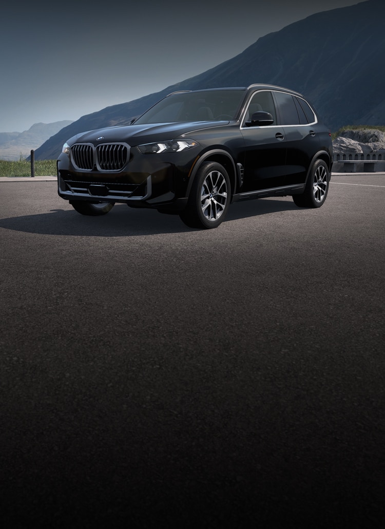 A BMW X5 sDrive40i sits in a parking area next to a large mountainous landscape