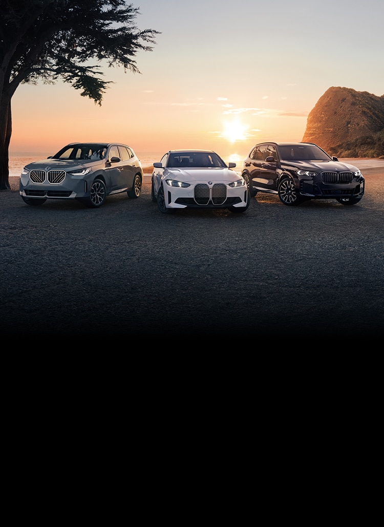 The BMW X3 30 xDrive, i4 eDrive40, and X5 xDrive50e in front of a scenic beach during sunset.