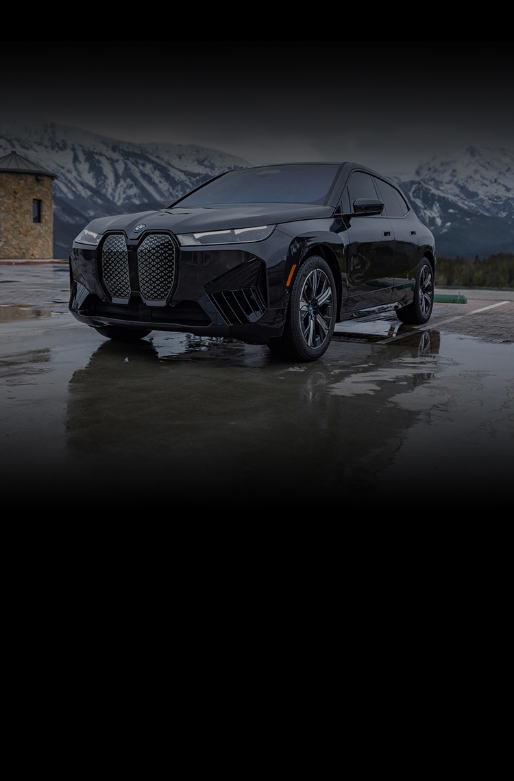 2025 BMW iX Luxury All Electric SUV All Models Pricing
