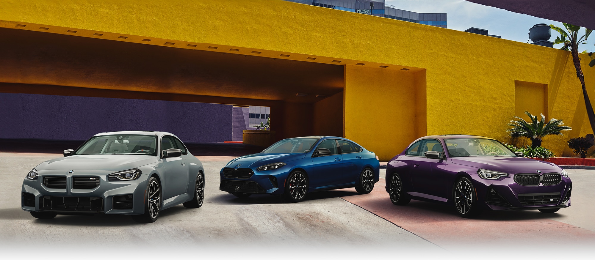 2026 BMW 2 Series Packages and Options