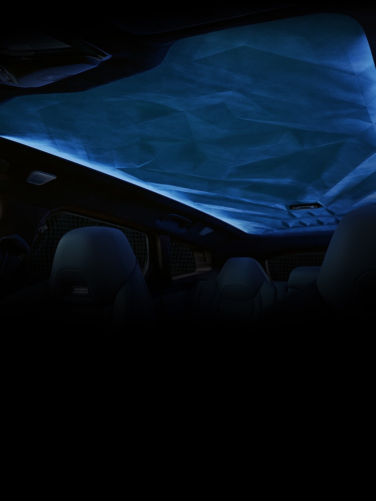 Interior image of sculptural headliner and Ambient Lighting