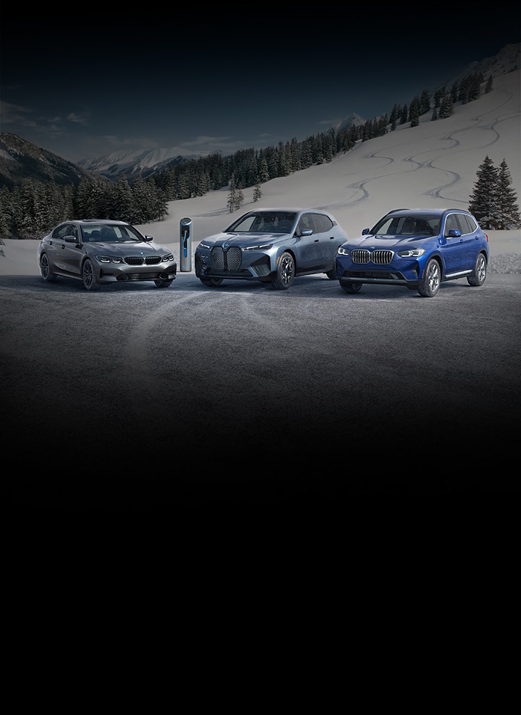 Three BMWs parked side by side in front of snow-capped mountains and trees.