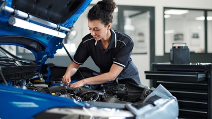 Image of BMW representative speaking with a customer