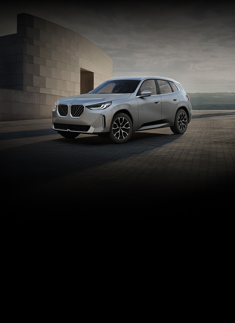 The X3 30 xDrive parked on an open cobblestone structure in front of the ocean.