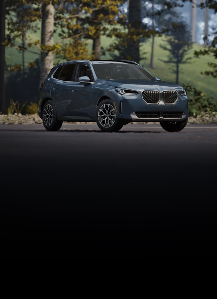 A BMW X3 sits parked in front of a lush woodland park