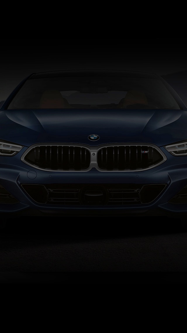 Detail of the kidney grille on a 2026 BMW 8 Series Gran Coupe