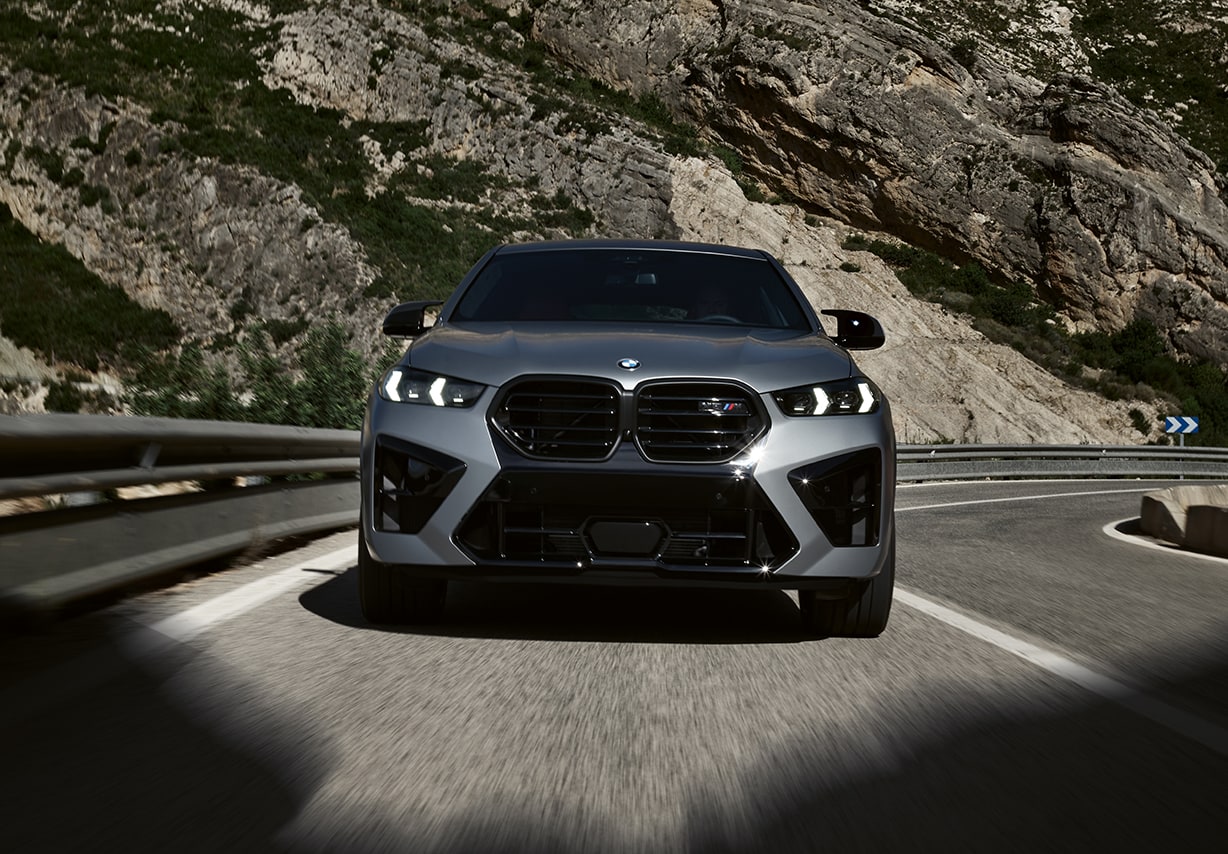 BMW X6 Safety Technology